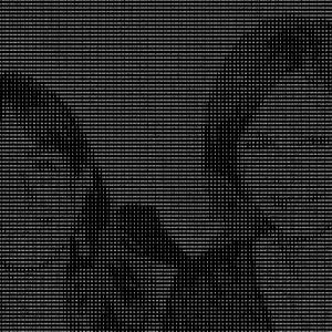 family portrait - particolare family portrait - particolare