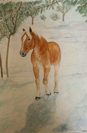 Tra gli ulivi innevati