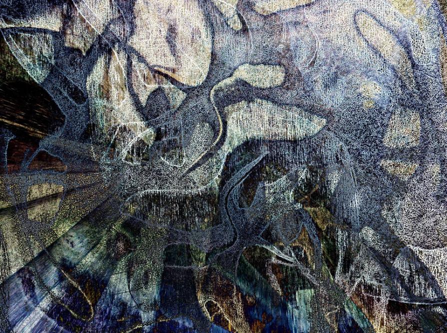 La danza della coscienza (The dance of consciousness) 