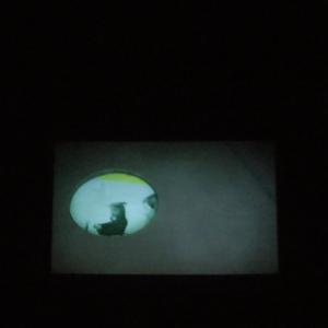 installation view installation view