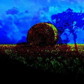 E poi, guarda! Vedi, laggiù in fondo, dei campi di grano?