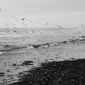 La libertà è tra il mare e il cielo