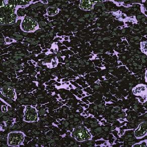 Opera che Piace agli Indiani 