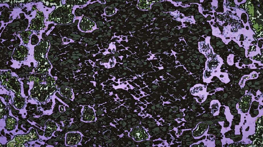 Opera che Piace agli Indiani 