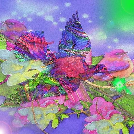 ...Se saprai starmi vicino...!!!