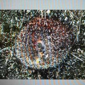 Mimi la metallurgica. Ogni riccio un capriccio. 