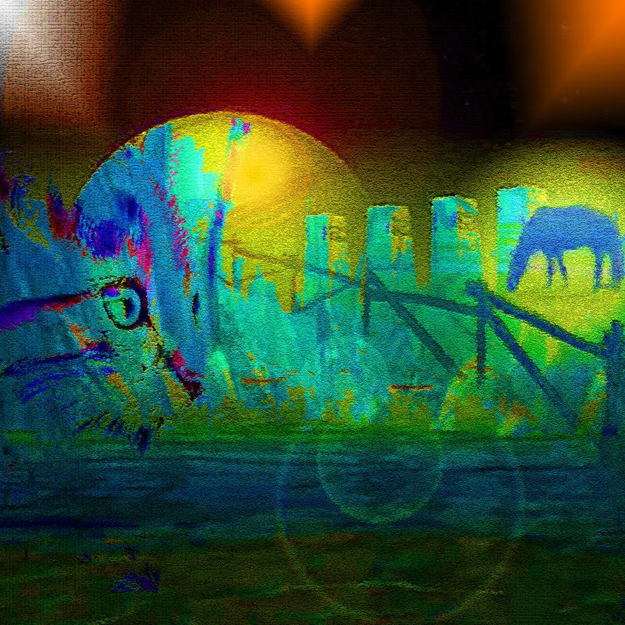 Quando un gatto fissa immobile un punto, forse sta creando una poesia...