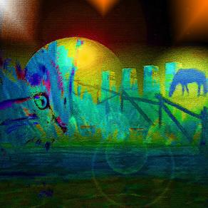 Quando un gatto fissa immobile un punto, forse sta creando una poesia...