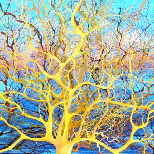 Premio Copertina Città di Narni VIII Edizione, Concorso di pittura