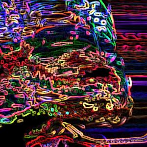 Optical Experience Optical Experience