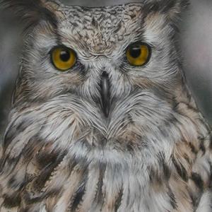 WILDLIFE - IL MONDO DEGLI ANIMALI