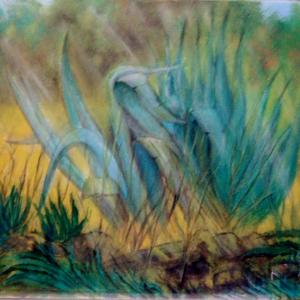 PREMIO VAN GOGH 2012