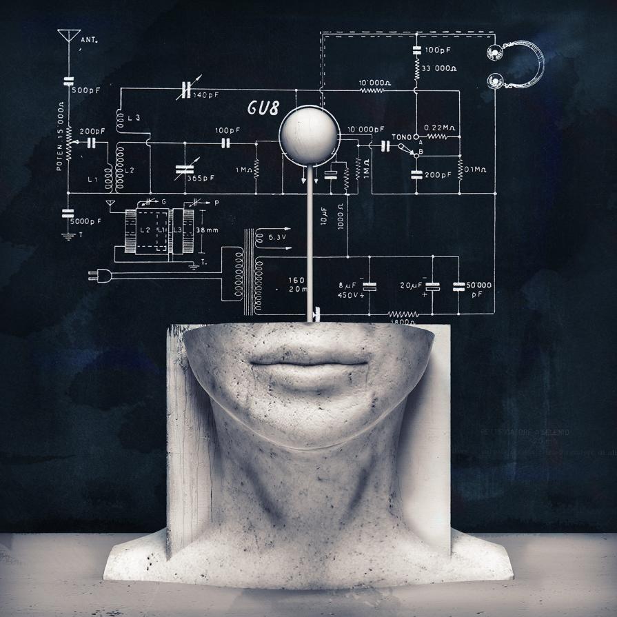 "Organi di sintonia"