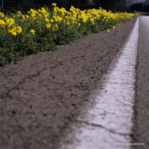 A Piedi Nudi, #L104C6305