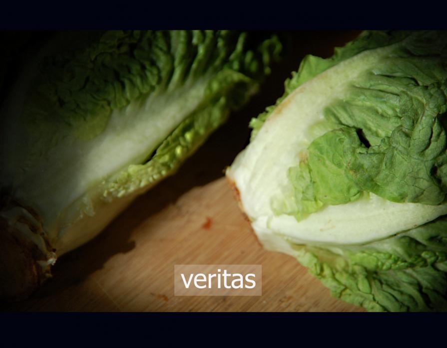 veritas / 2011