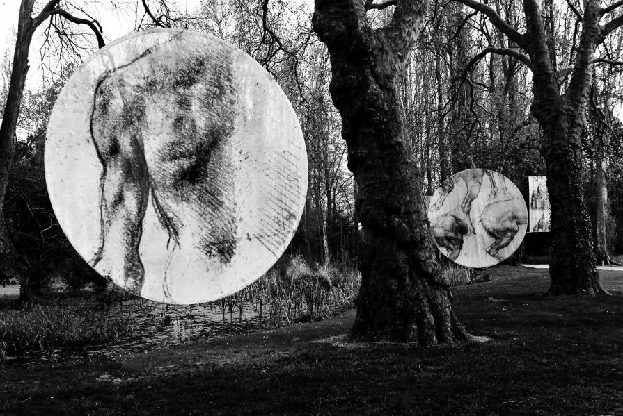 Il bosco dei misteri della scienza#2