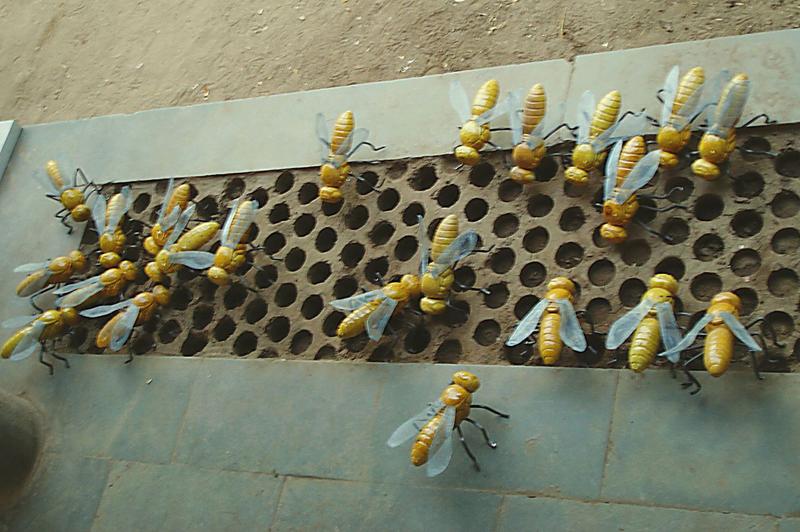 honey bees