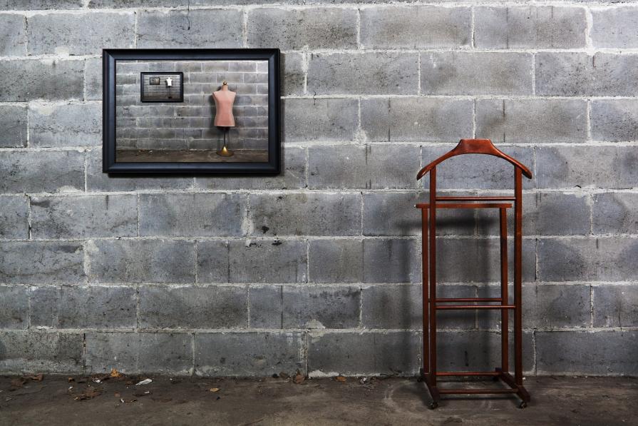 L'involuzione della Specie L'involuzione della Specie