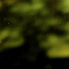 Sum (Exit Strategies VI)