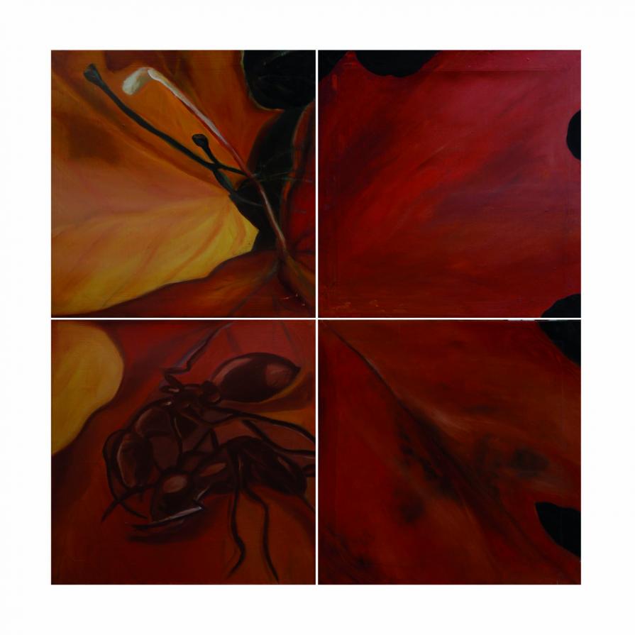 paesaggio di una formica