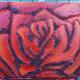 Red Rose