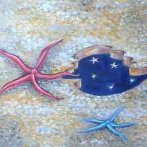 il posto delle stelle