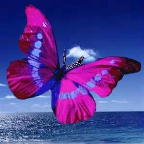 in volo verso il blu