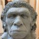 Neanderthal in progress Neanderthal in progress