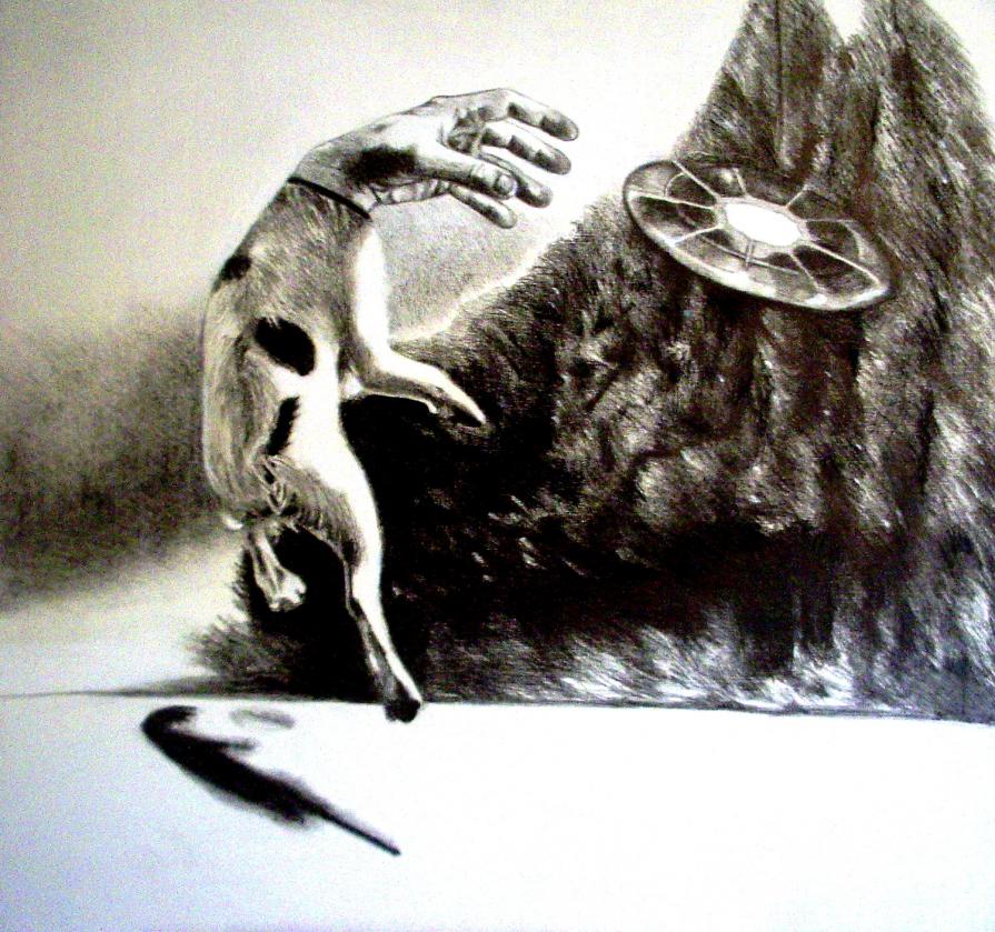  A walk through the scent of Douglas Firs - Step 1