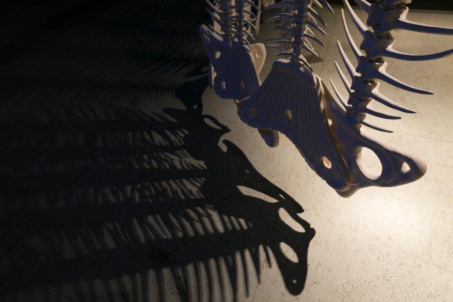 E' solo una questione di tempo