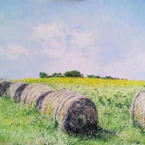 Colline di Senigallia con girasoli e covoni 