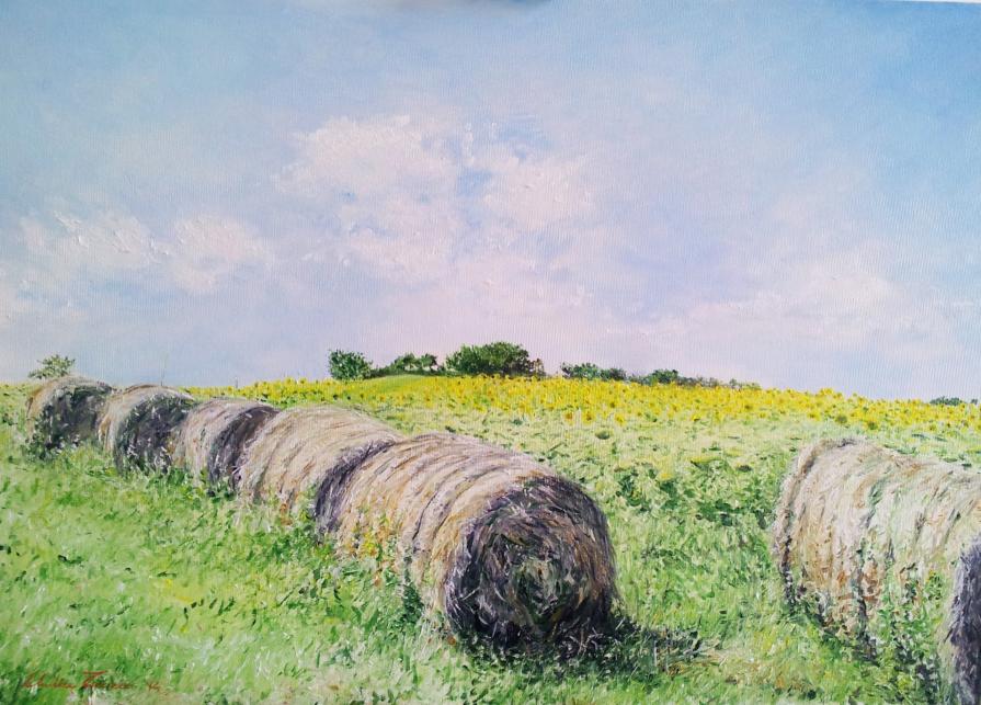 Colline di Senigallia con girasoli e covoni 