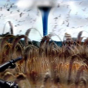 laudato sia mia signore,nasce accanto a me , vicino al inceneritore il grano,geneticamente mutato..