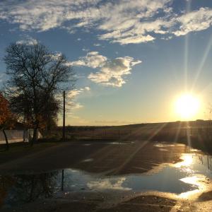 FLASHBACK 1 FLASHBACK 1