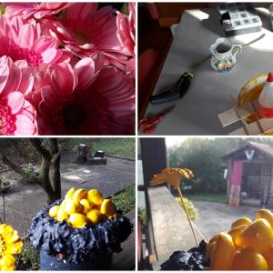 domenica 20112016 domenica 20112016