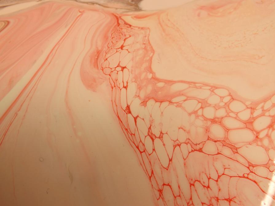 Suspended Disbelief - Close Up 2