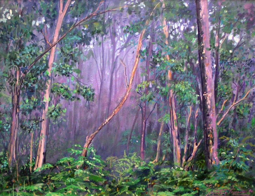 AUSTRALIAN EUCALYPTUS FOREST