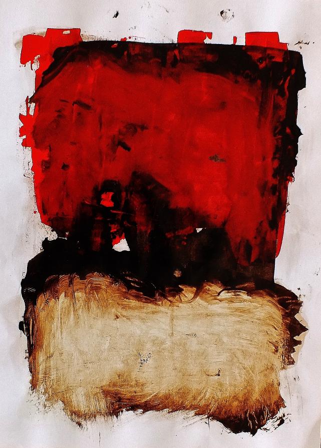 SEDIA ELETTRICA IN VERANDA