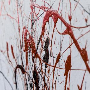 Dettaglio - Esplosione di piacere