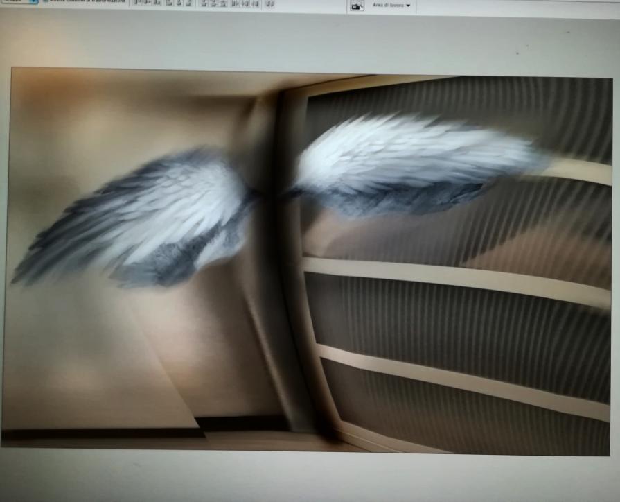 Mi si è incastrato un angelo dietro al mobile.