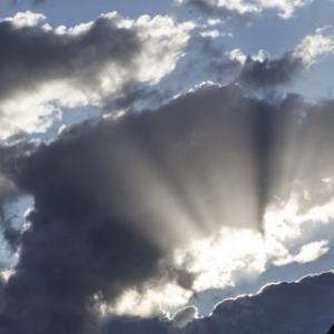 Achim Ripperger e Rita Antonioli, Fuori dalle radici 