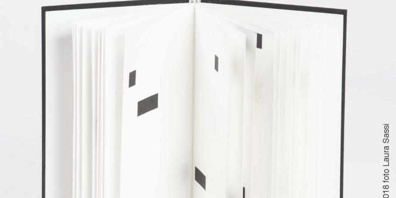 Letizia Ardillo e Yarona Pinhas-FARE LIBRI by Elisa Pellacani Palazzo dei Musei a Reggio Emilia Italy Letizia Ardillo e Yarona Pinhas-FARE LIBRI by Elisa Pellacani Palazzo dei Musei a Reggio Emilia Italy