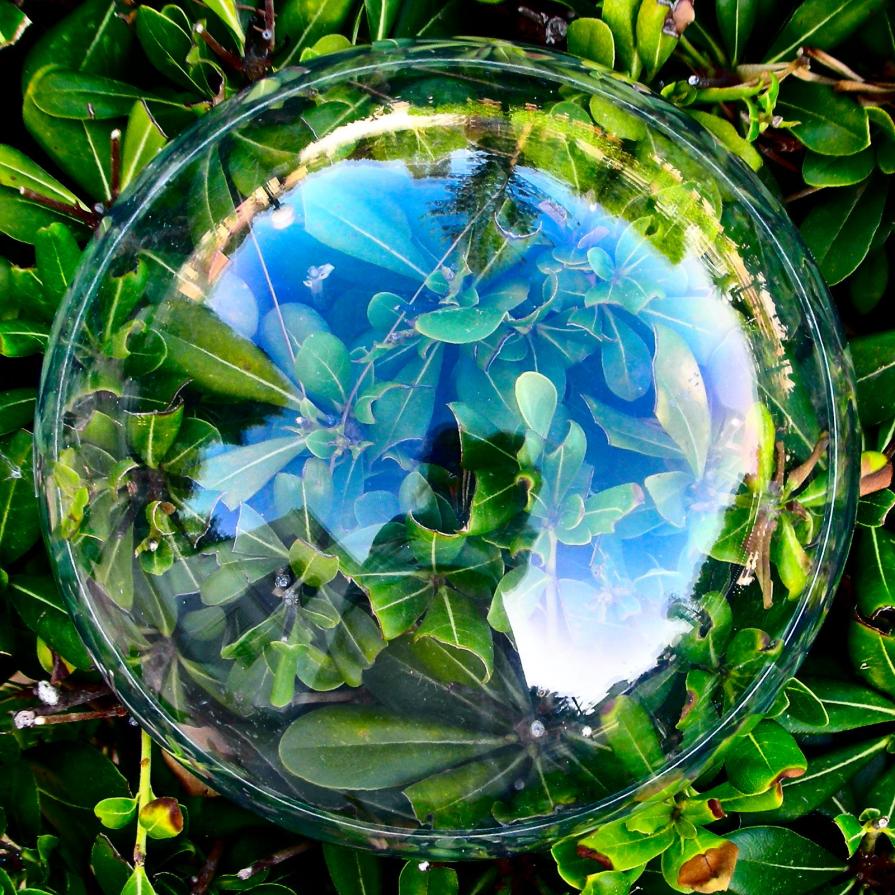 what lies beneath   cosa c'é sotto