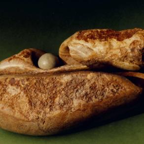 the color of my country