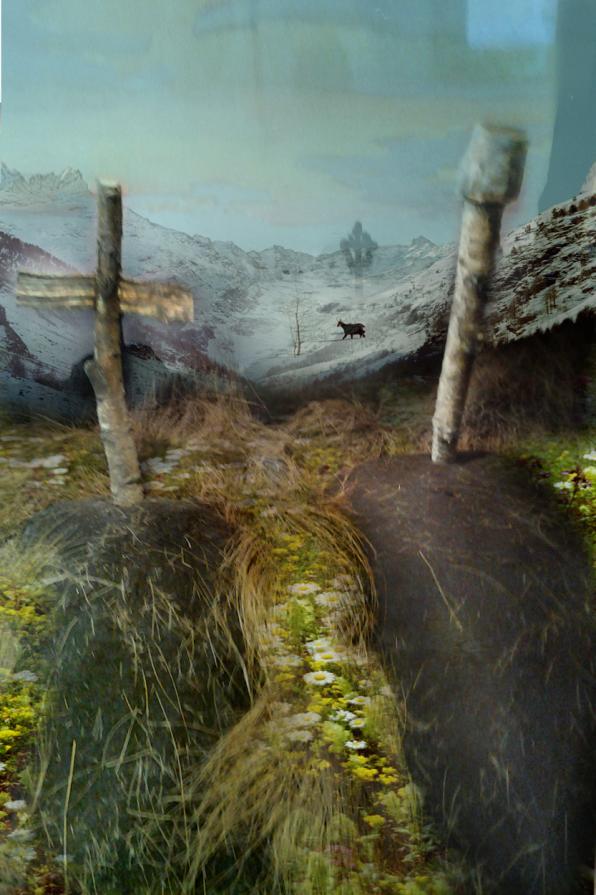 tanti conflitti, tutti con lo stesso destino