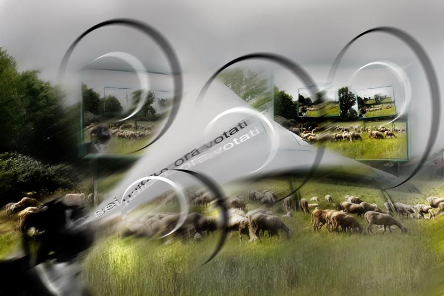 sei unico .ora votati