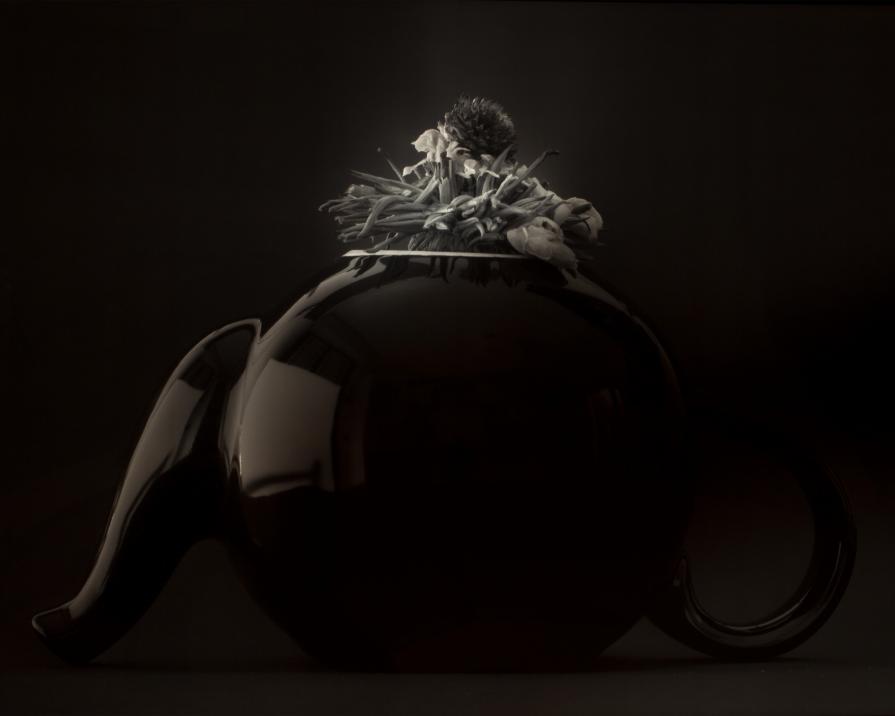 Che rabbia Che rabbia