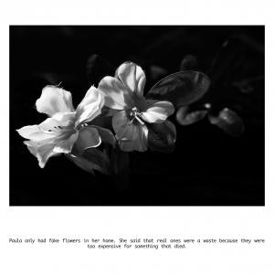 Fake Flowers Fake Flowers