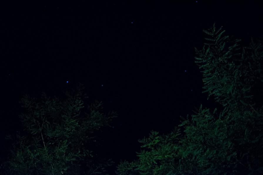 A Sky Full Of Stars For A Roof