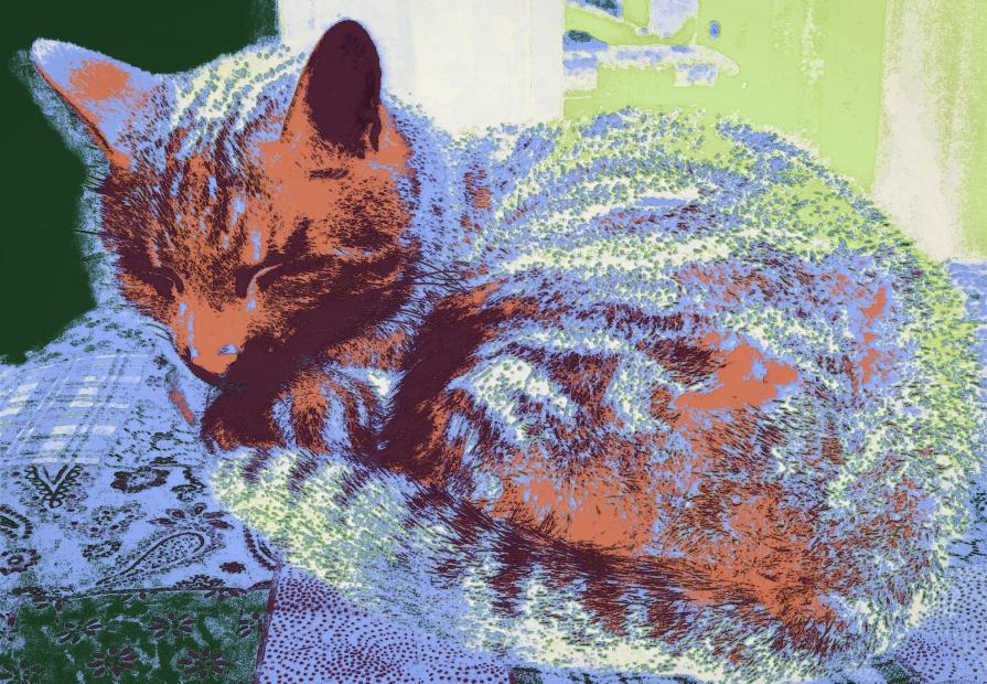 Il Riposino della Gattolpe